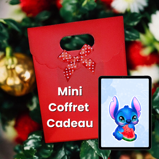 Mini Coffret Cadeau Stitch